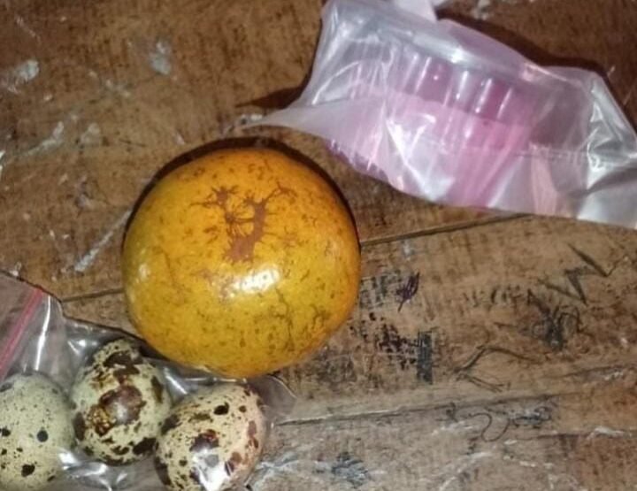 Mahasiswa Soroti Menu MBG di Cikasungka Tak Layak, Diduga Tidak Penuhi Standar Gizi